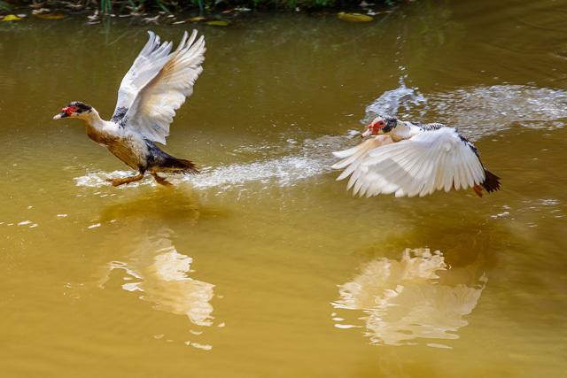 Pousada Luar Do Sertao วาเลนซา ภายนอก รูปภาพ